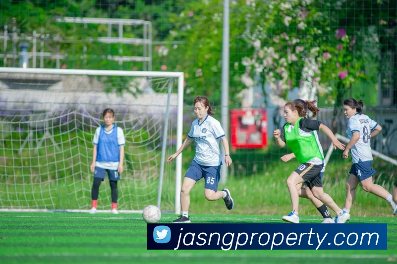 体育赛事直播